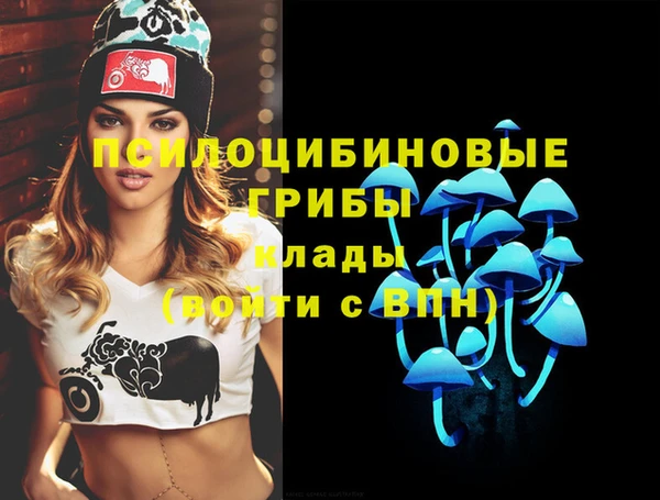 гидра Абдулино