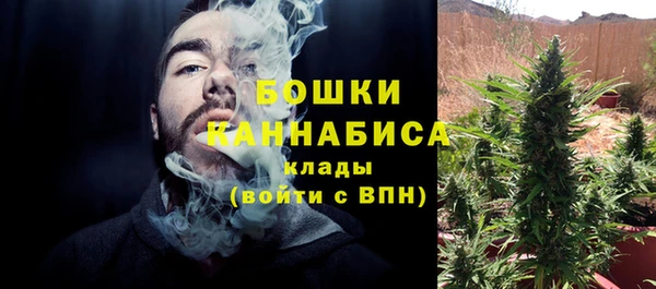 Альфа ПВП Абаза