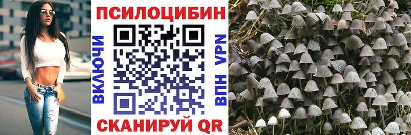 где найти наркотики  omg вход  Галлюциногенные грибы MAGIC MUSHROOMS  Донецк 