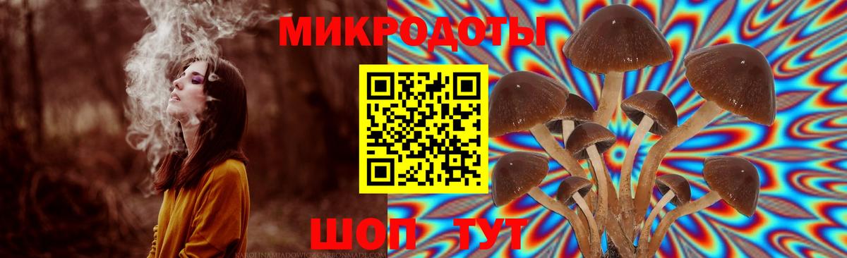 Донецк  Псилоцибиновые грибы Psilocybine cubensis  Вход с VPN  Псилоцибиновые грибы мухоморы 